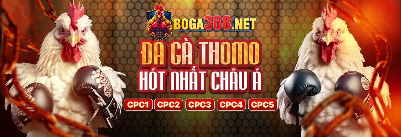 Blackjack Trực tiếp fly88